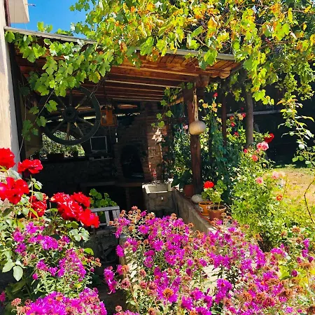Guest House Gergana Добриниште