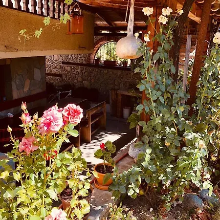 Гостевой дом Guest House Gergana