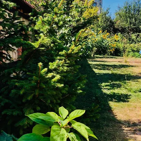 Гостевой дом Guest House Gergana