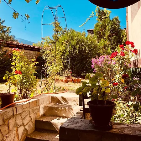 Guest House Gergana * Добриниште