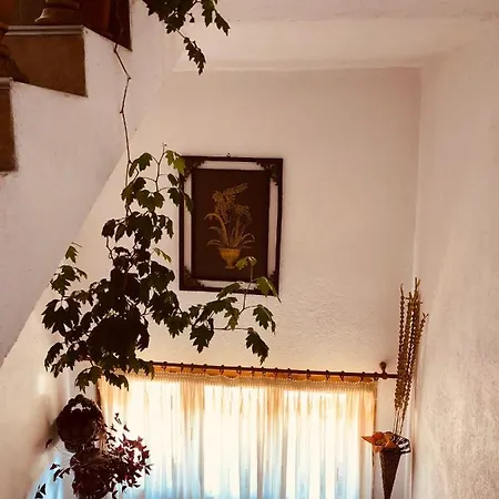 Guest House Gergana Гостевой дом