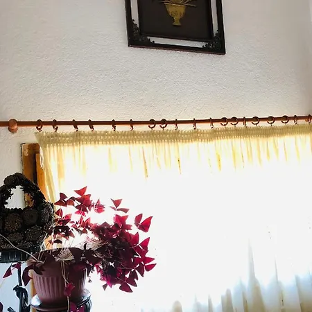 Guest House Gergana Гостевой дом *