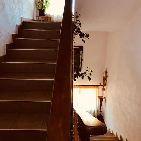 Гостевой дом Guest House Gergana Добриниште