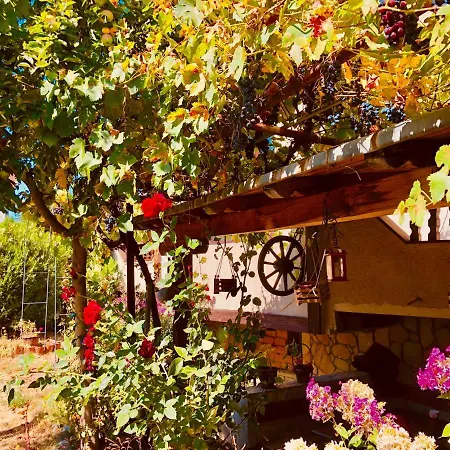 Guest House Gergana Гостевой дом