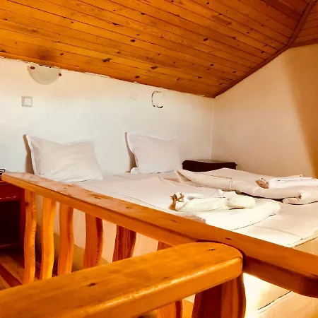 Guest House Gergana * Добриниште