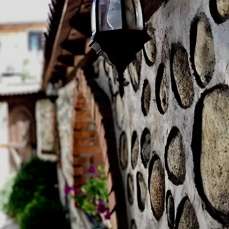 Guest House Gergana * Добриниште